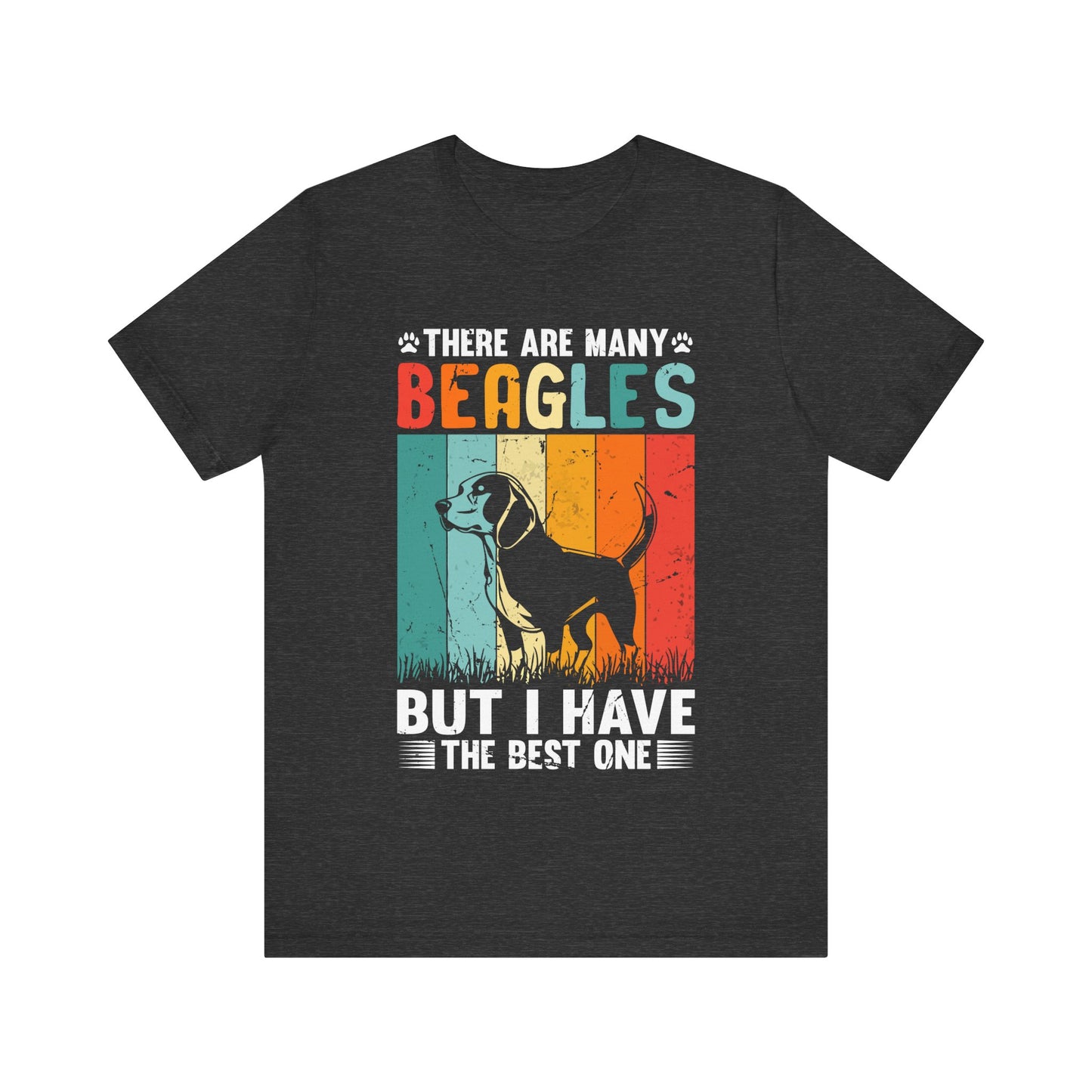 There Are Many Beagles But I Have the Best One T-Shirt – Funny Beagle Dog Owner Shirt – Beagle Lover Gift